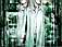 matrixreloaded02.jpe